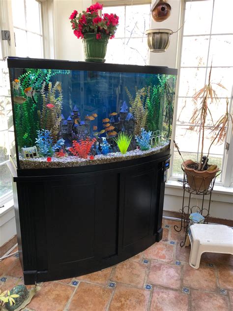 80 gallon fish tank